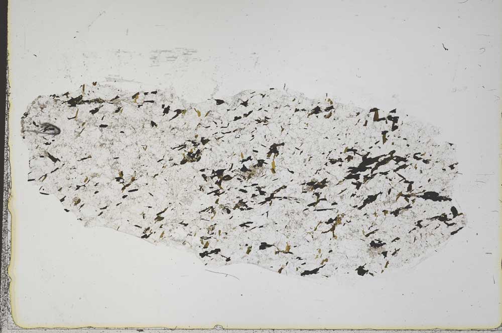 Plane Polarized, S41957