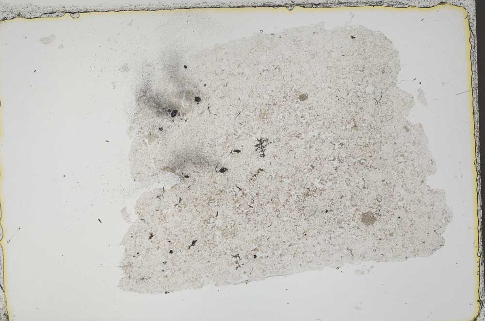Plane Polarized, S41979