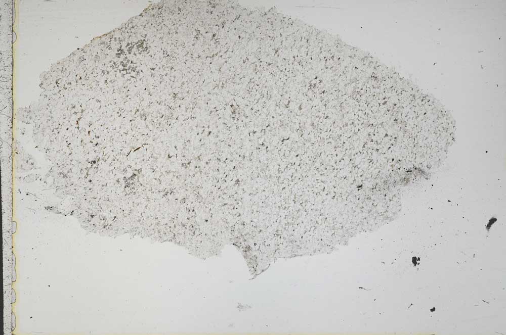 Plane Polarized, S41981