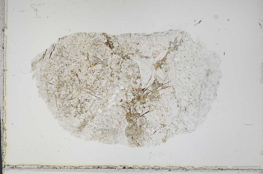 Plane Polarized, S41984