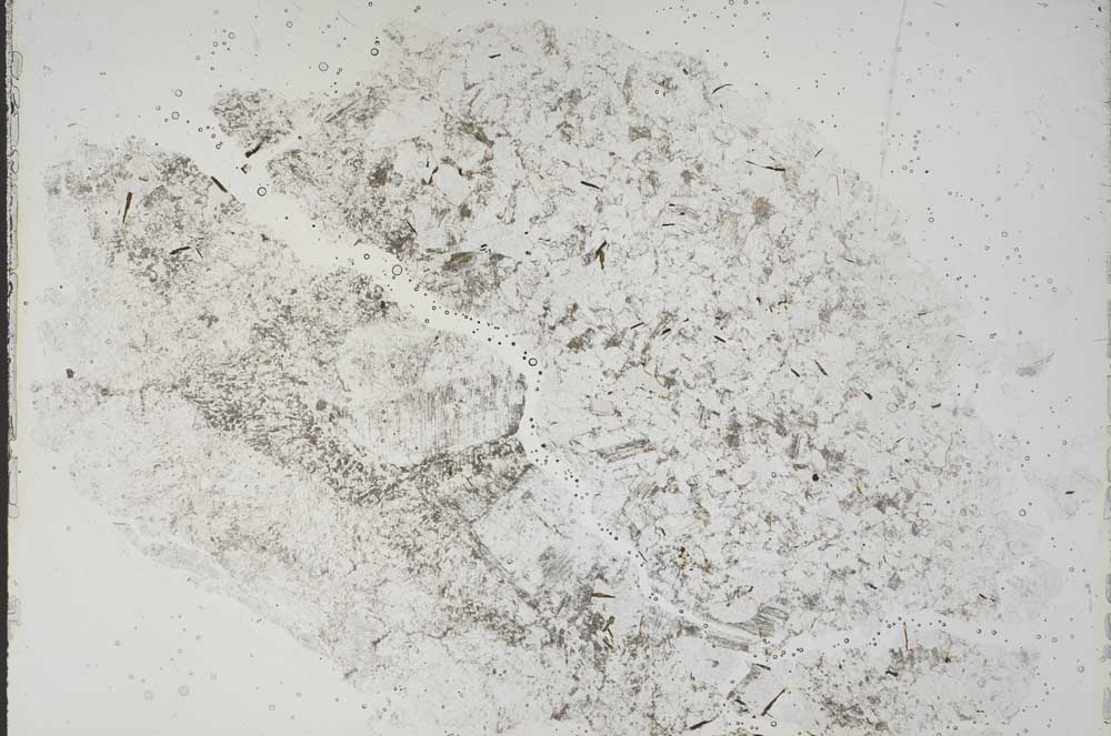 Plane Polarized, S41985