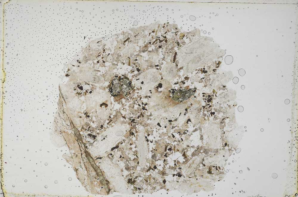 Plane Polarized, S42012