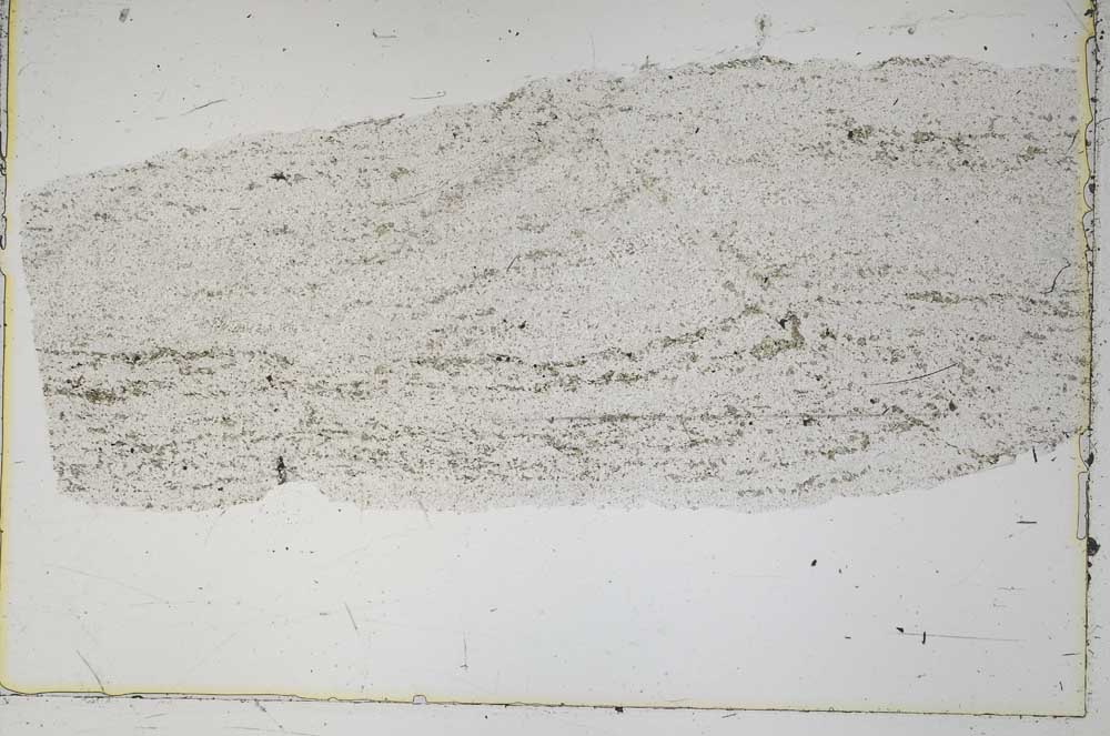Plane Polarized, S42045