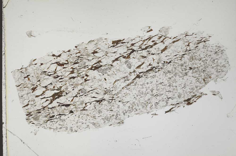 Plane Polarized, S42107