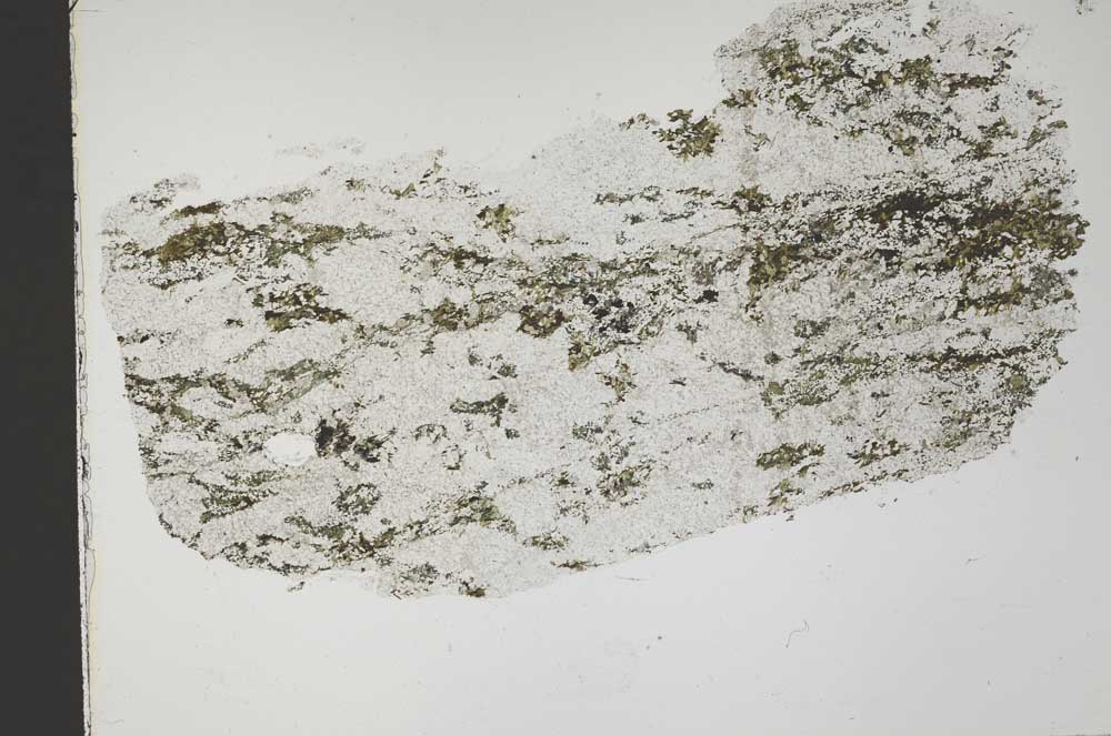 Plane Polarized, S42110