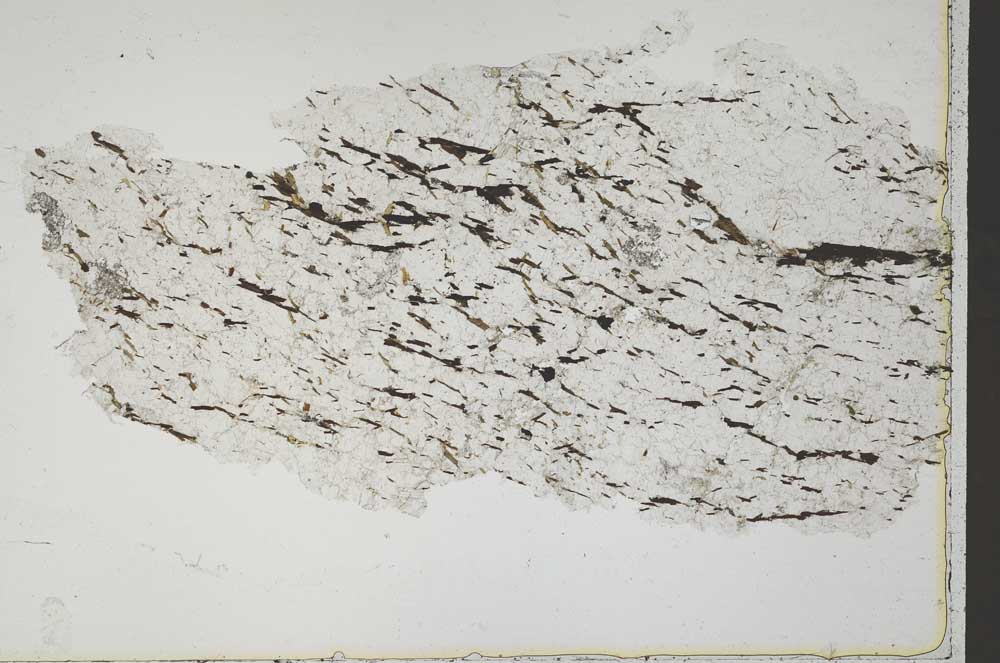 Plane Polarized, S42114