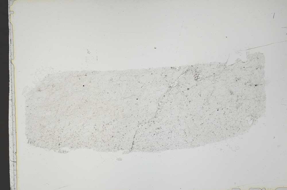 Plane Polarized, S42128