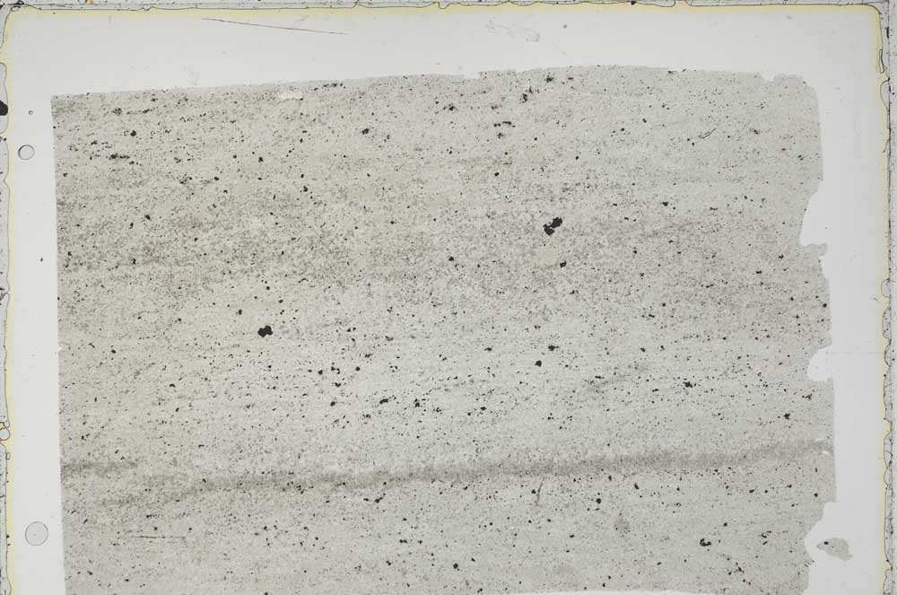 Plane Polarized, S42131