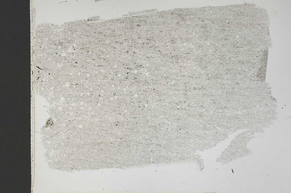 Plane Polarized, S42132