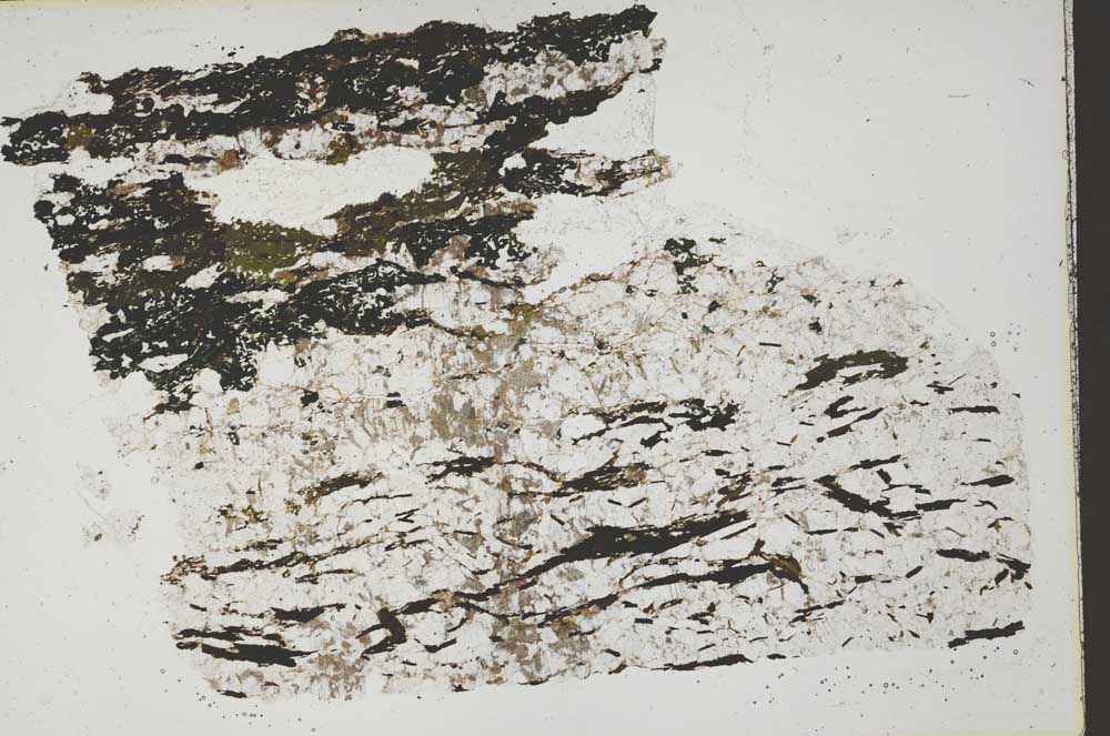 Plane Polarized, S42148
