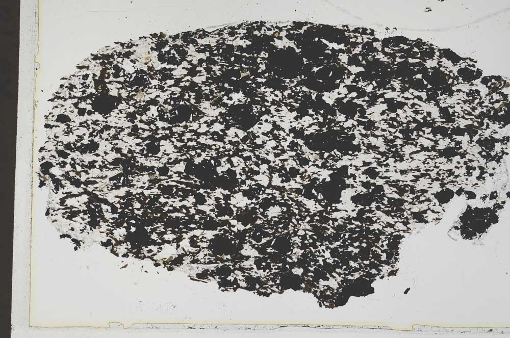 Plane Polarized, S42163