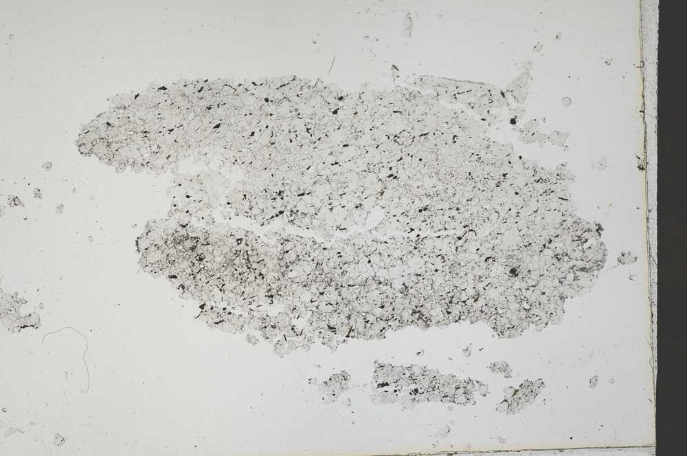 Plane Polarized, S42169