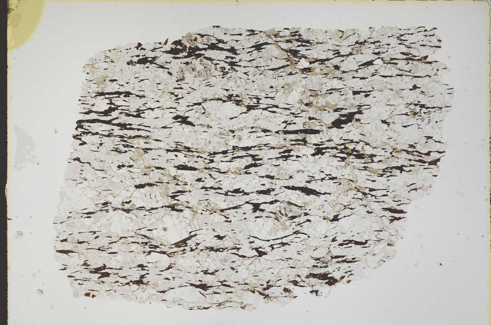 Plane Polarized, S42201