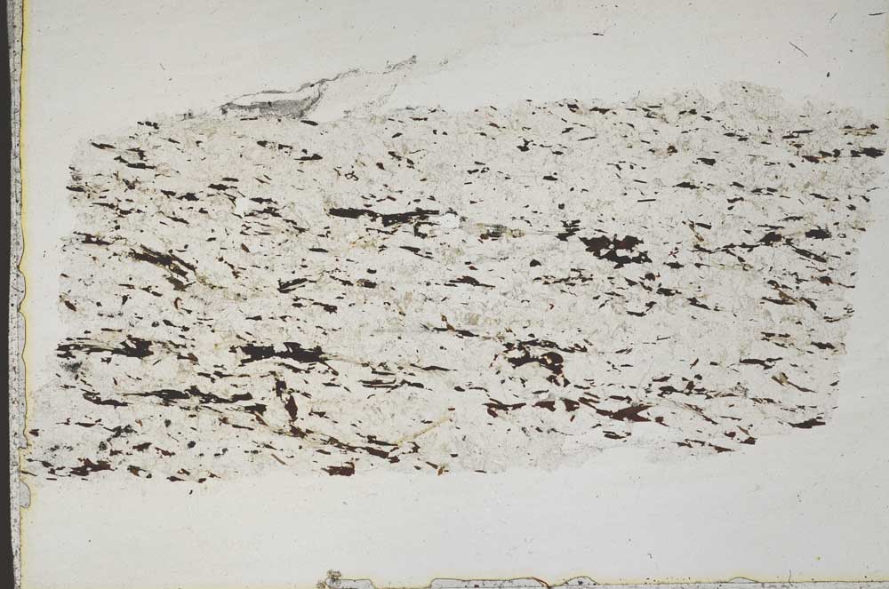 Plane Polarized, S42209