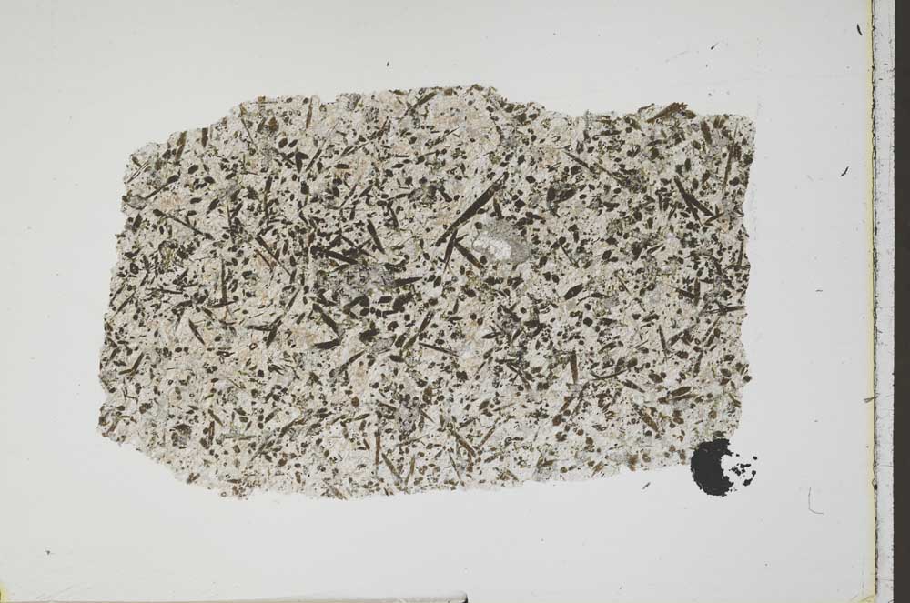 Plane Polarized, S42218