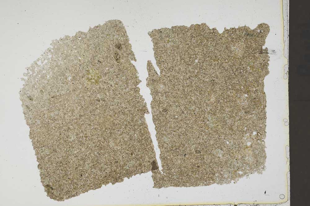 Plane Polarized, S42219