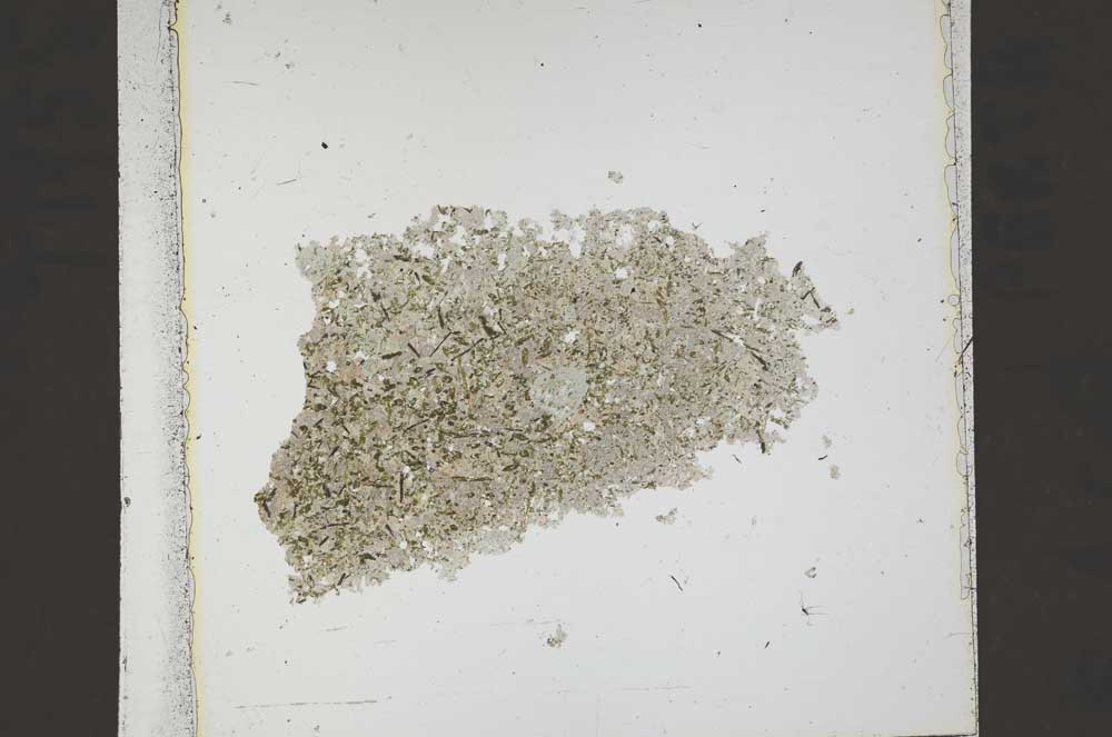 Plane Polarized, S42221