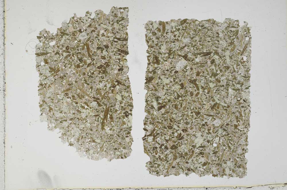 Plane Polarized, S42223