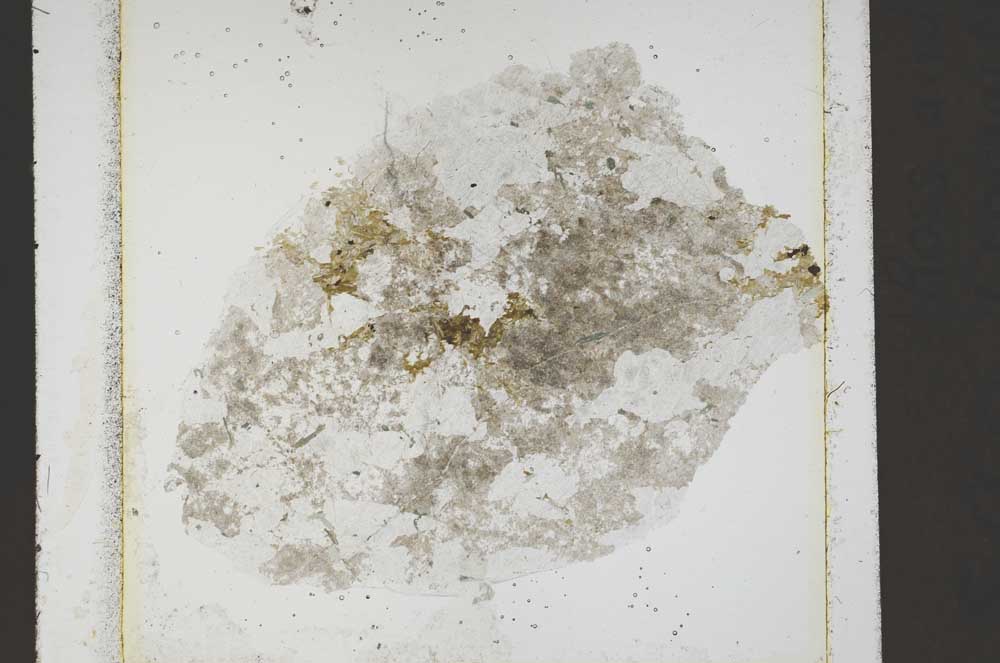 Plane Polarized, S42245