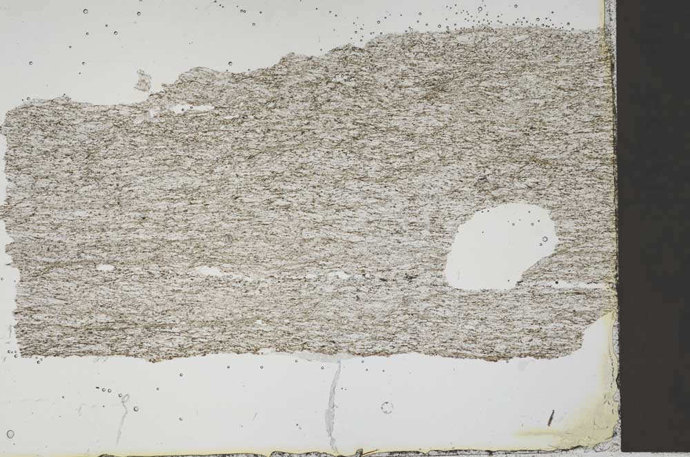 Plane Polarized, S42247