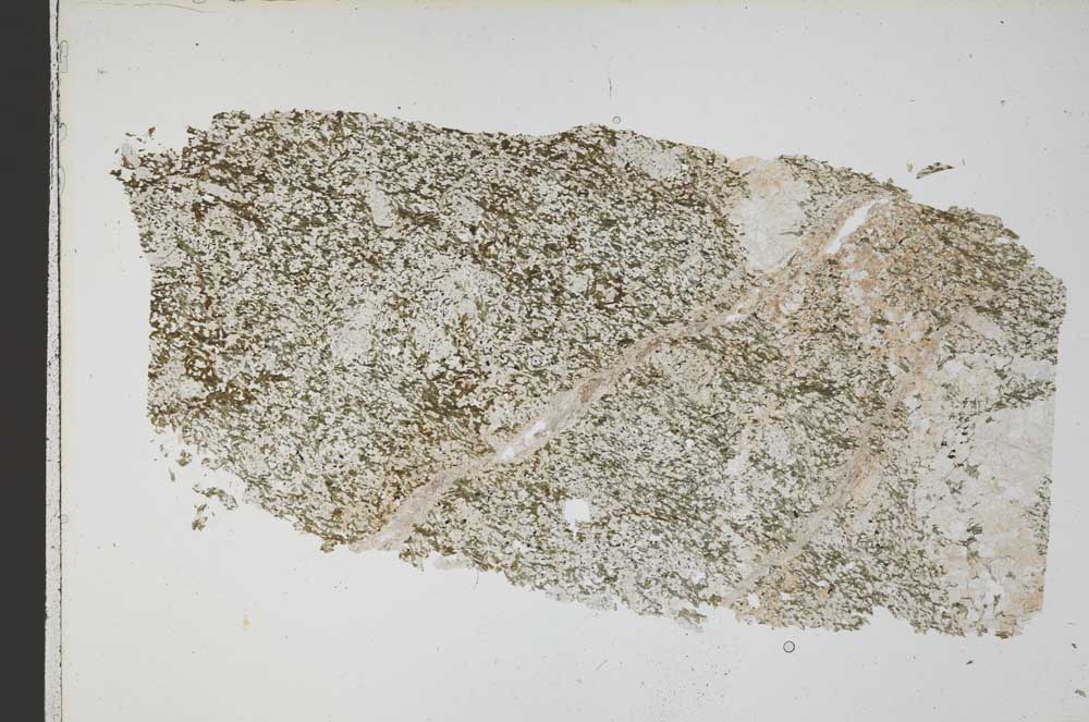 Plane Polarized, S42272