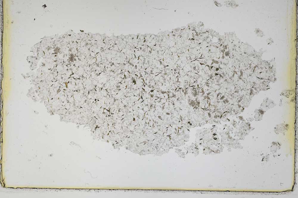 Plane Polarized, S42275