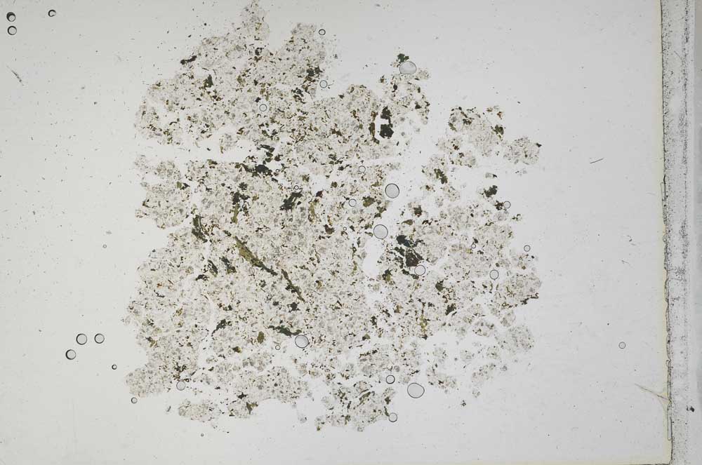 Plane Polarized, S42312