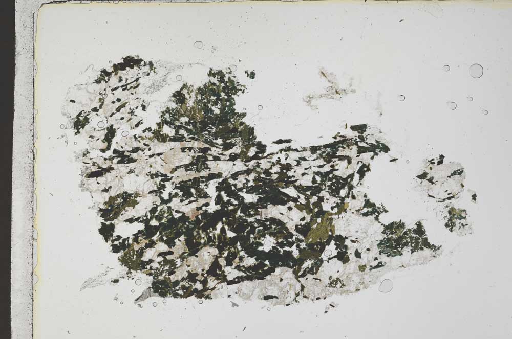 Plane Polarized, S42342