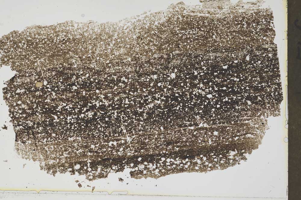Plane Polarized, S42413