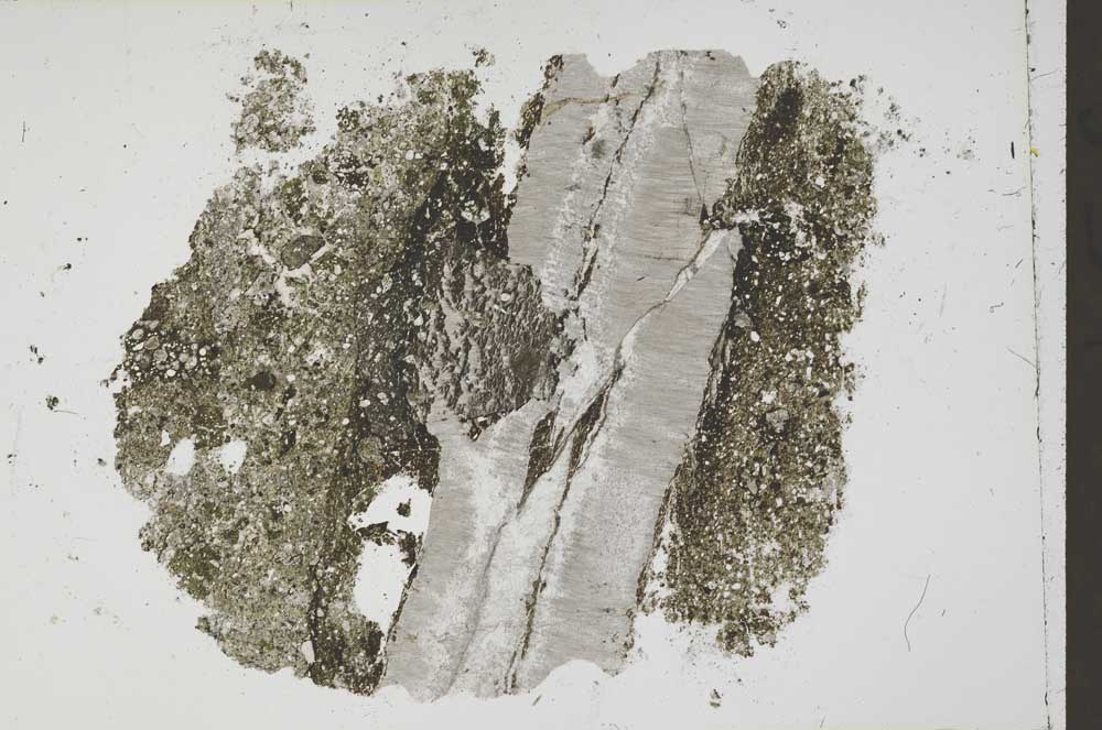 Plane Polarized, S42419
