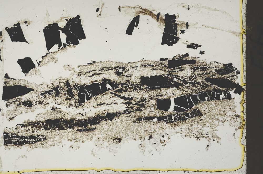Plane Polarized, S42422