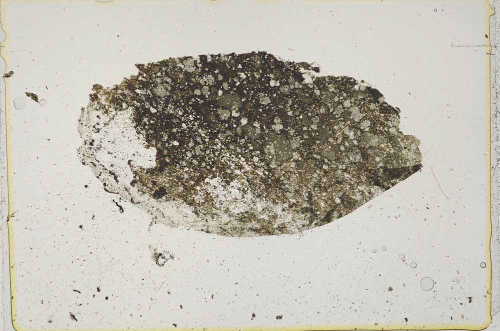Plane Polarized, S42423
