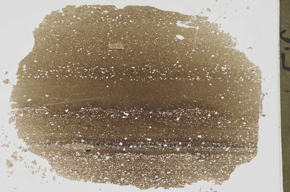 Plane Polarized, S42430