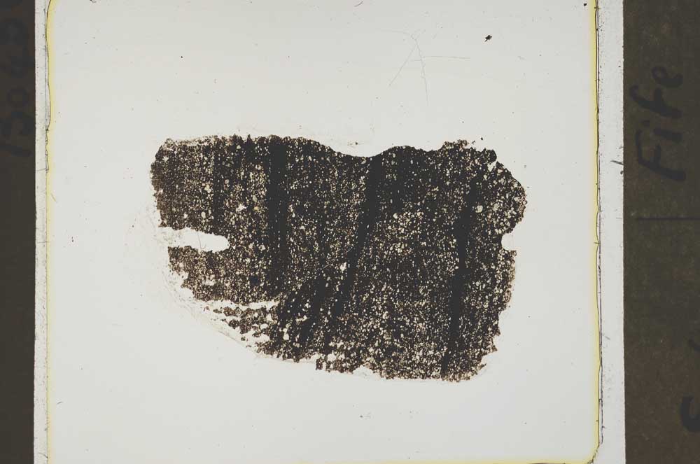 Plane Polarized, S42436