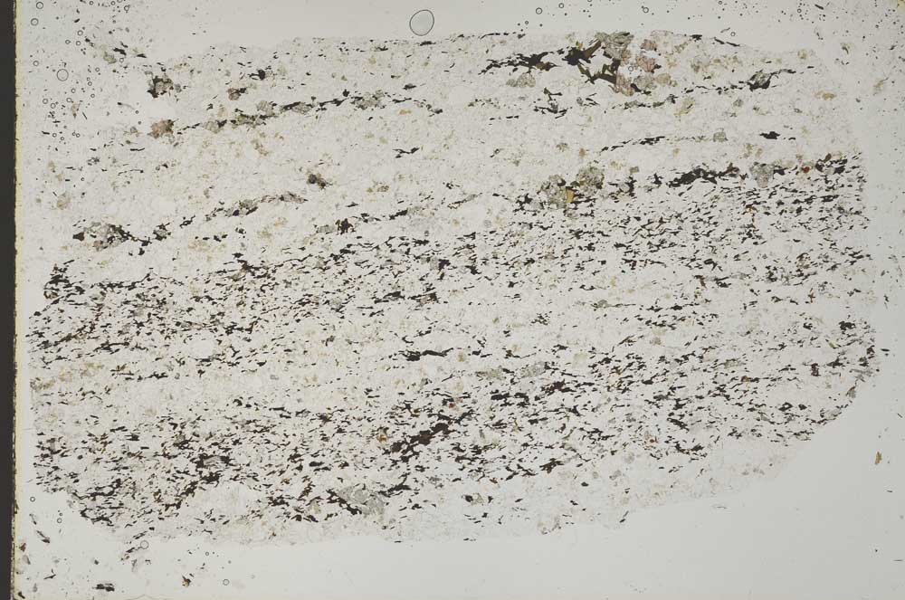 Plane Polarized, S42448