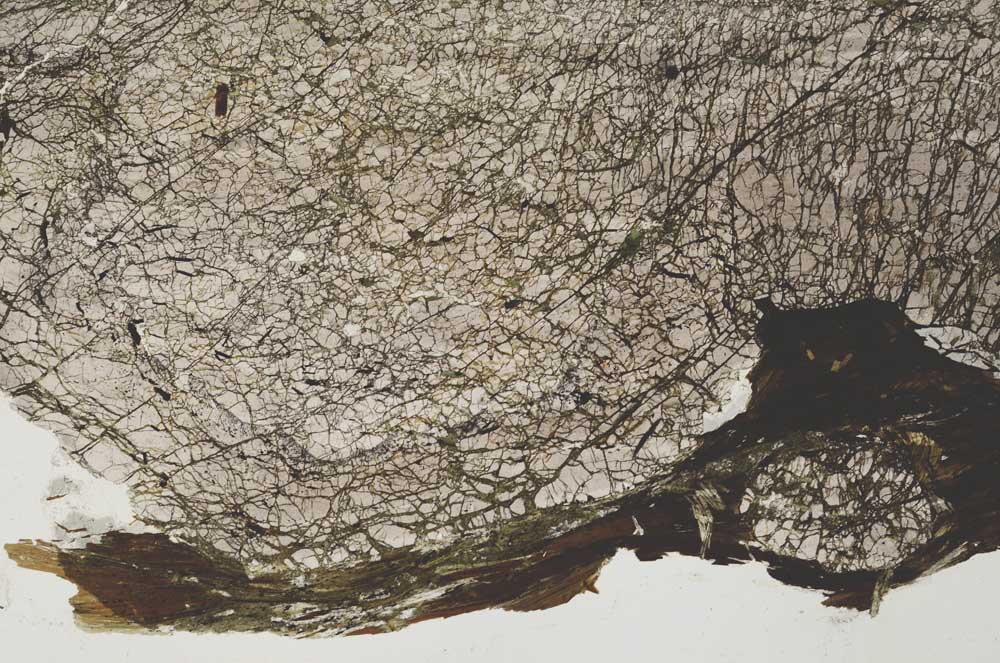 Plane Polarized, S42449