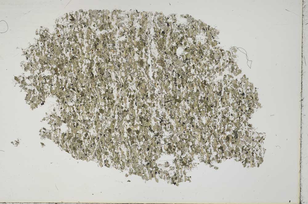 Plane Polarized, S42451