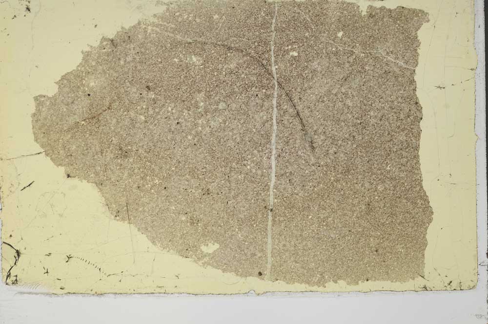 Plane Polarized, S42490
