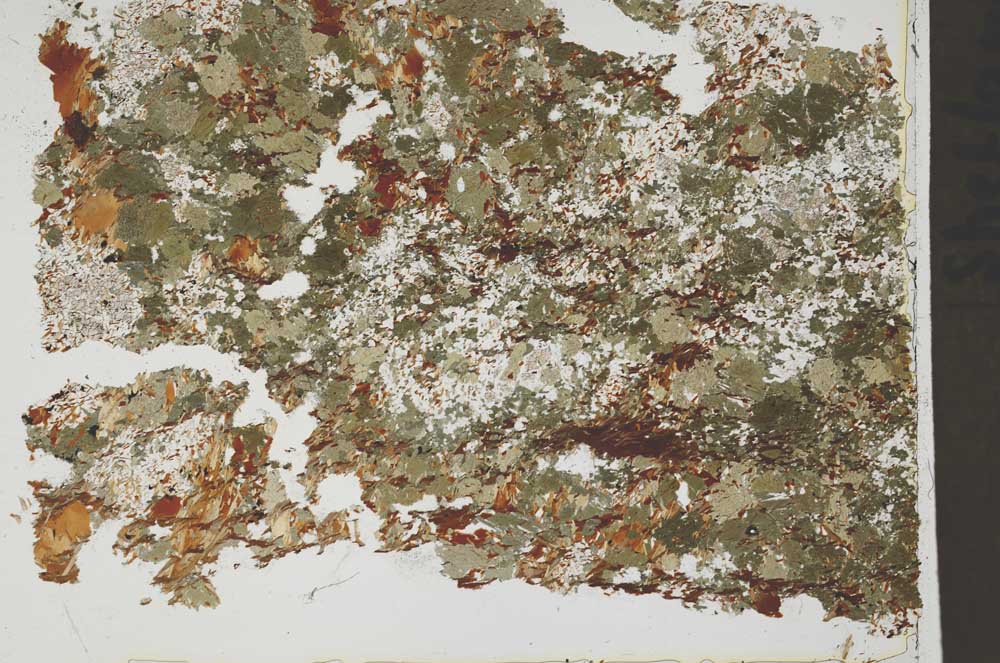 Plane Polarized, S42498
