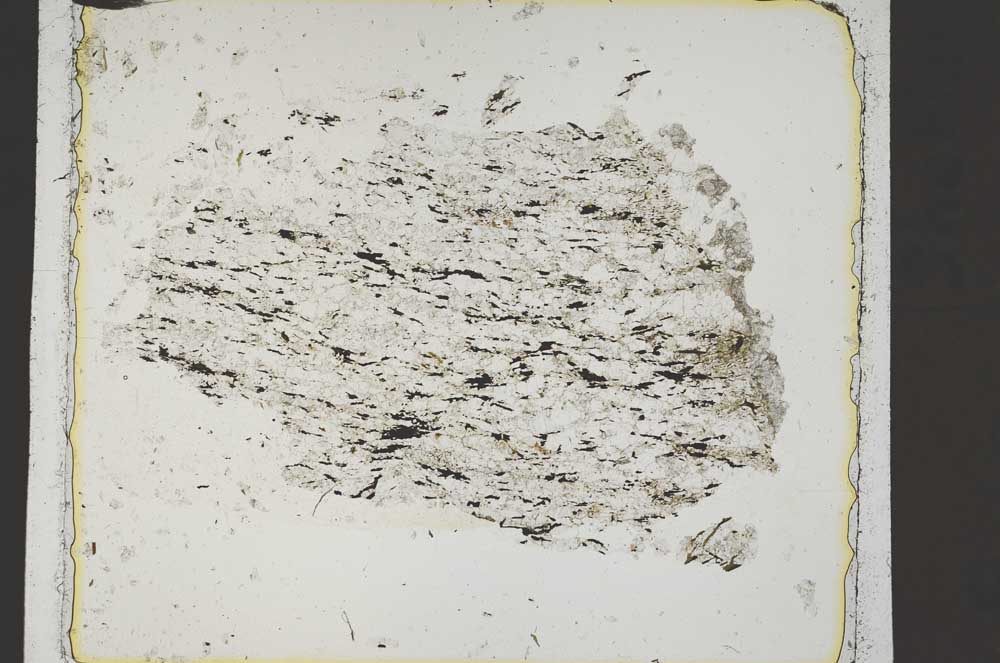 Plane Polarized, S42512