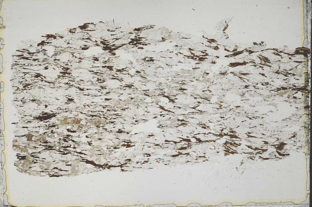 Plane Polarized, S42519