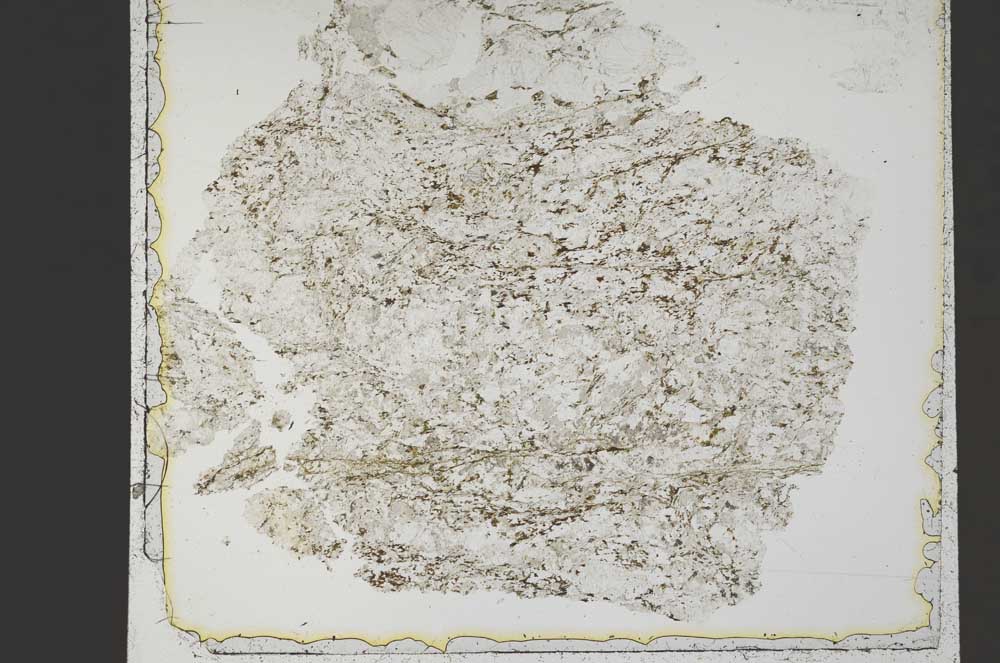 Plane Polarized, S42526