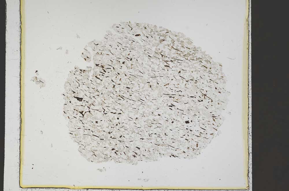 Plane Polarized, S42542