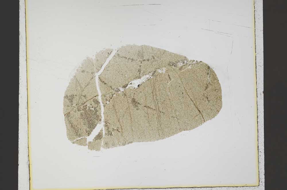 Plane Polarized, S42544