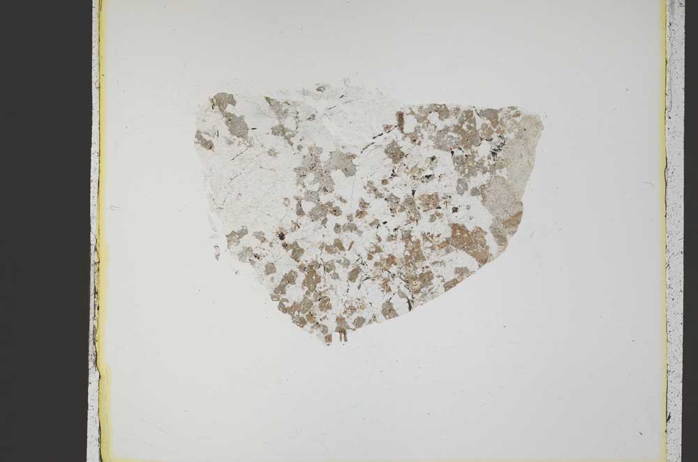 Plane Polarized, S42552