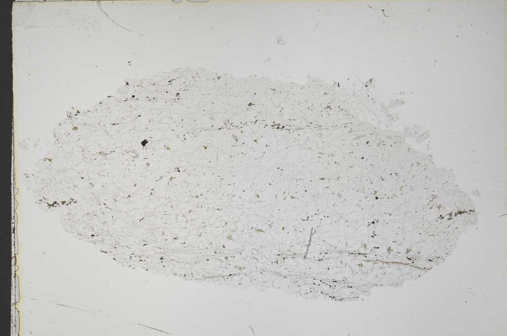 Plane Polarized, S42562