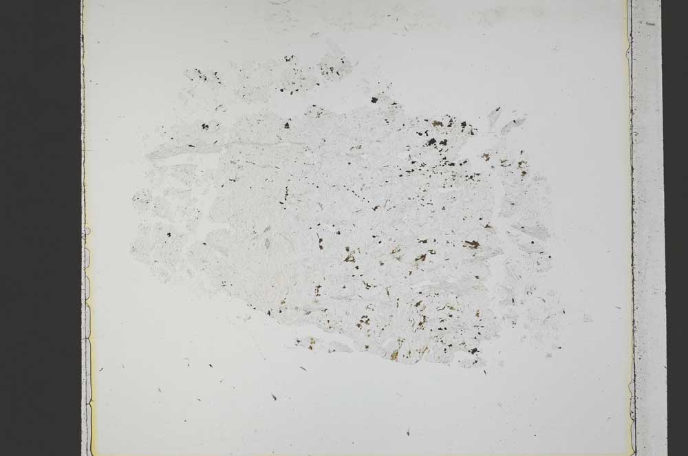 Plane Polarized, S42562/A