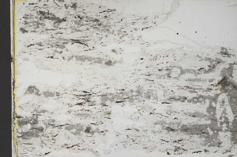 Plane Polarized, S42566