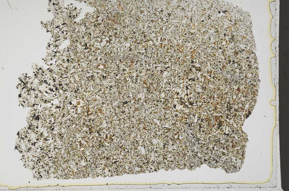 Plane Polarized, S42577