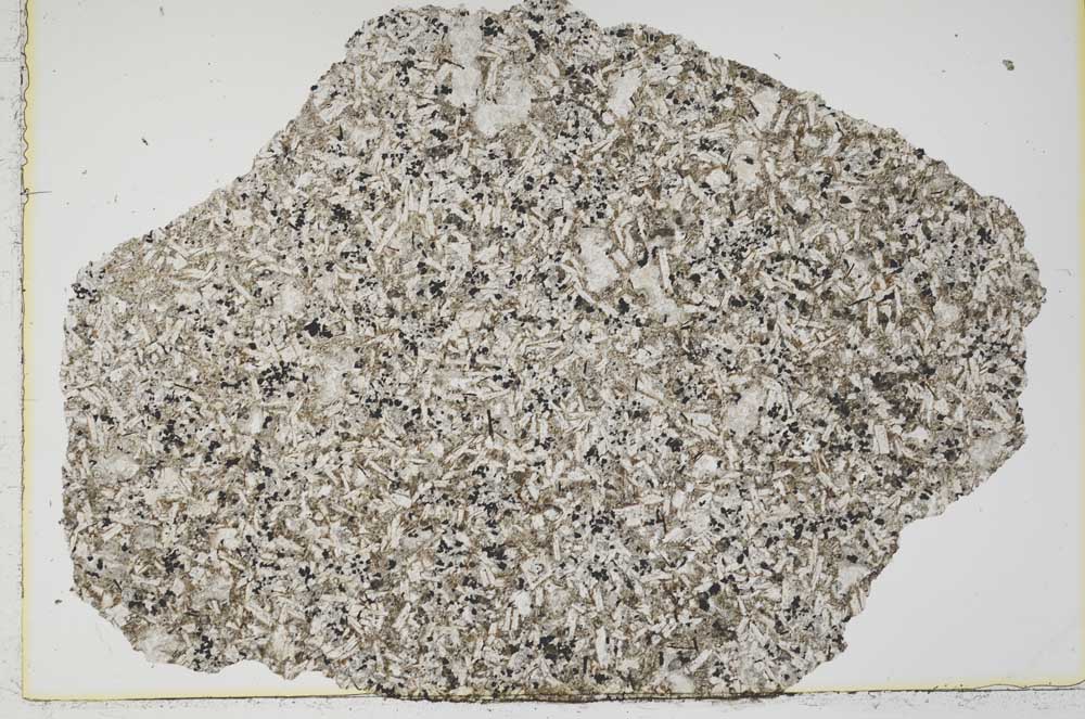 Plane Polarized, S42578